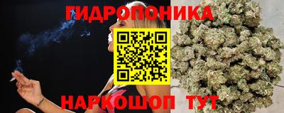 шишки Гусев